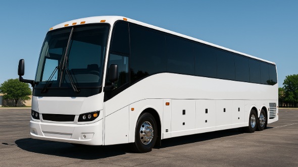 40 passenger party bus
